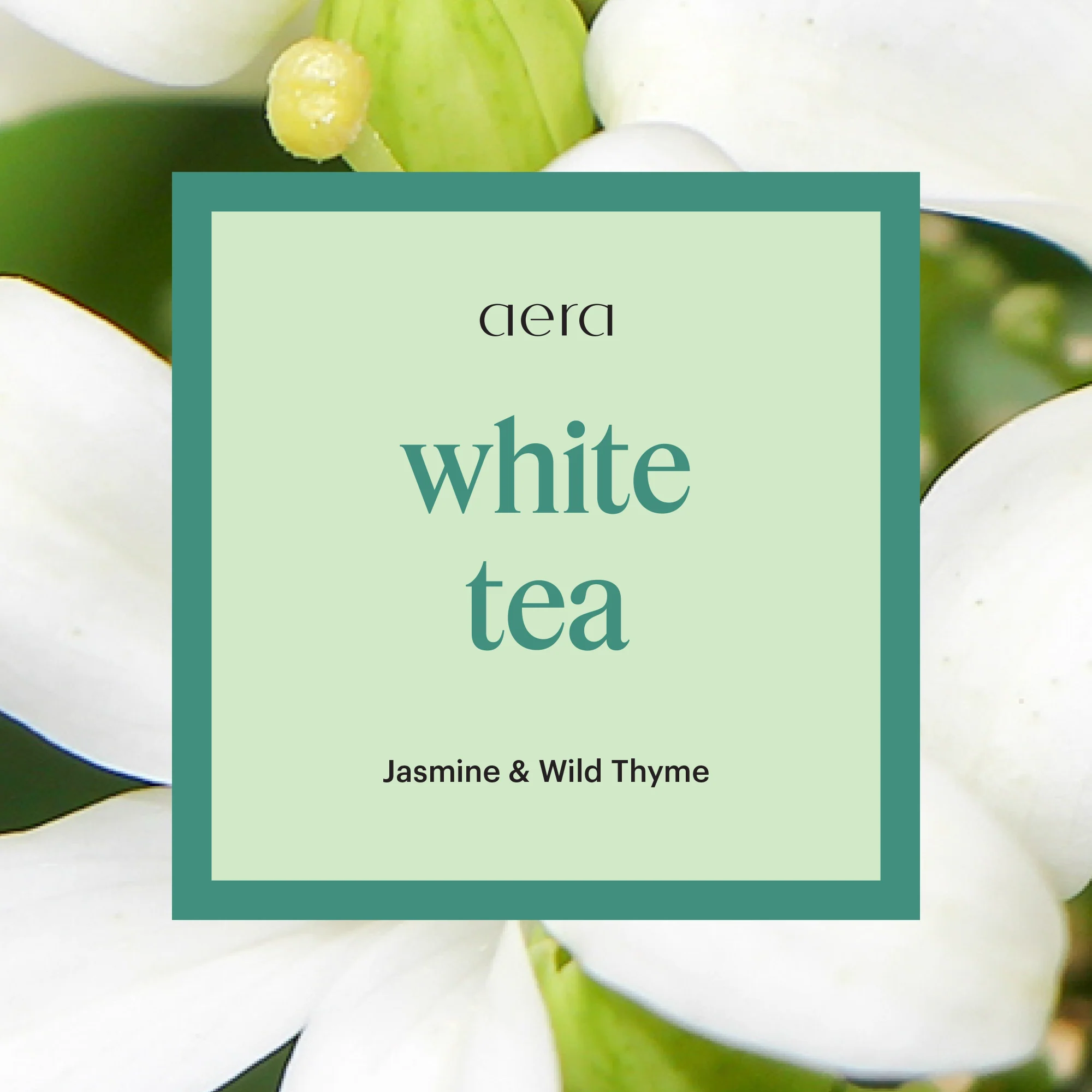 Aera Mini Forest Green & White Tea - Image 3