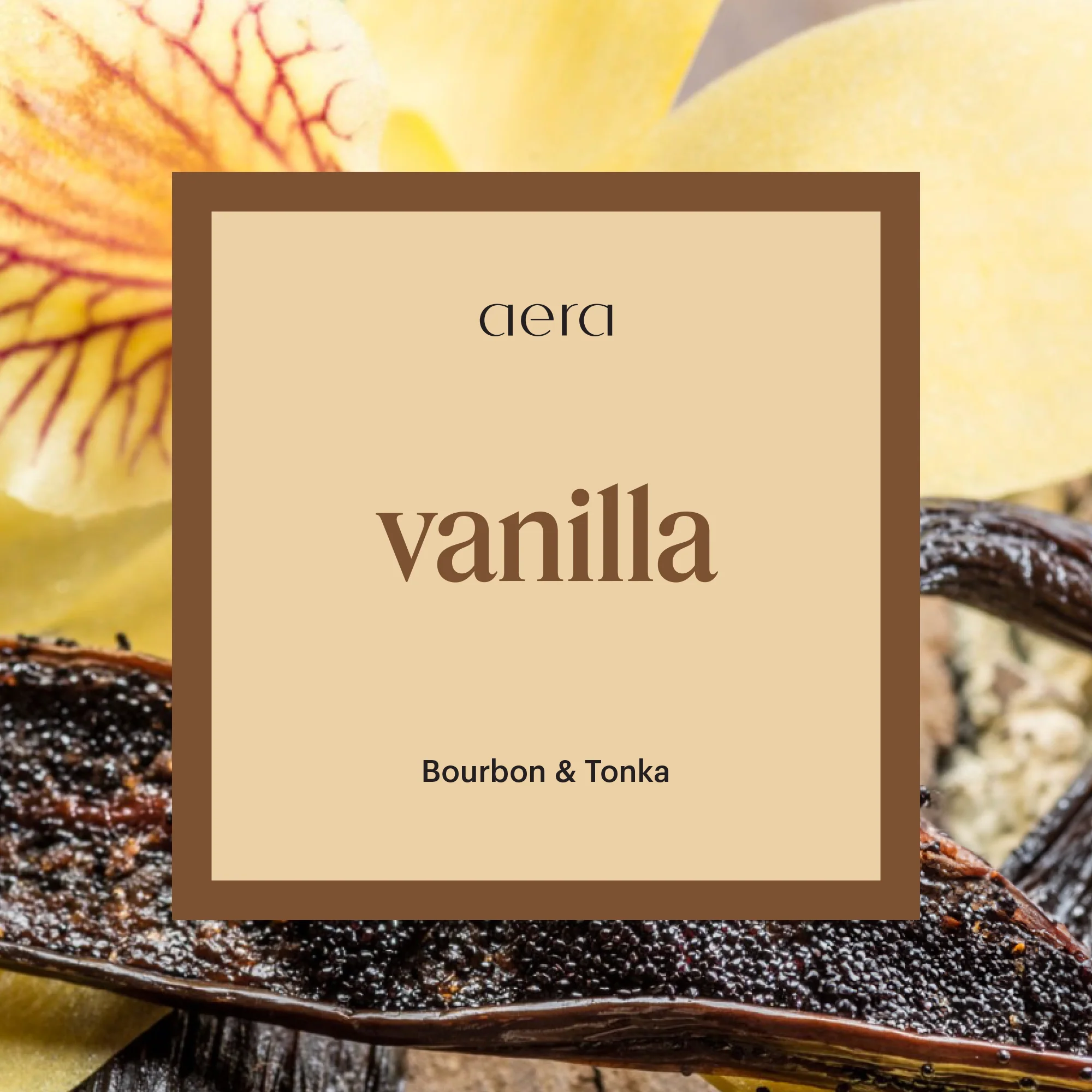 Aera Mini & Vanilla - Image 2