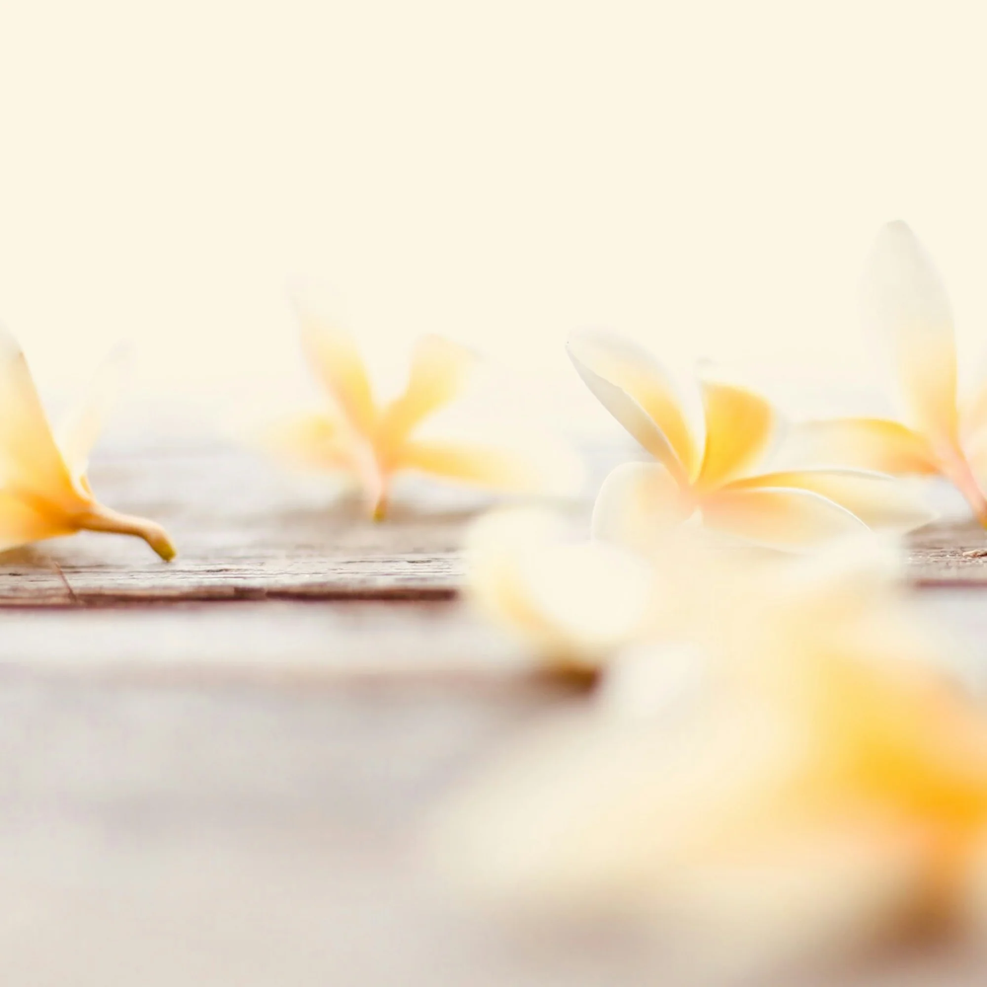 Balsam + Vanilla - Image 6