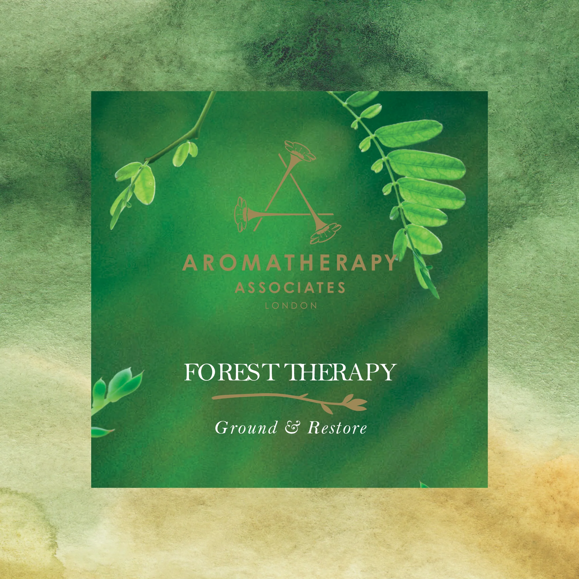 Forest Therapy Aromatherapy Blend Sample
