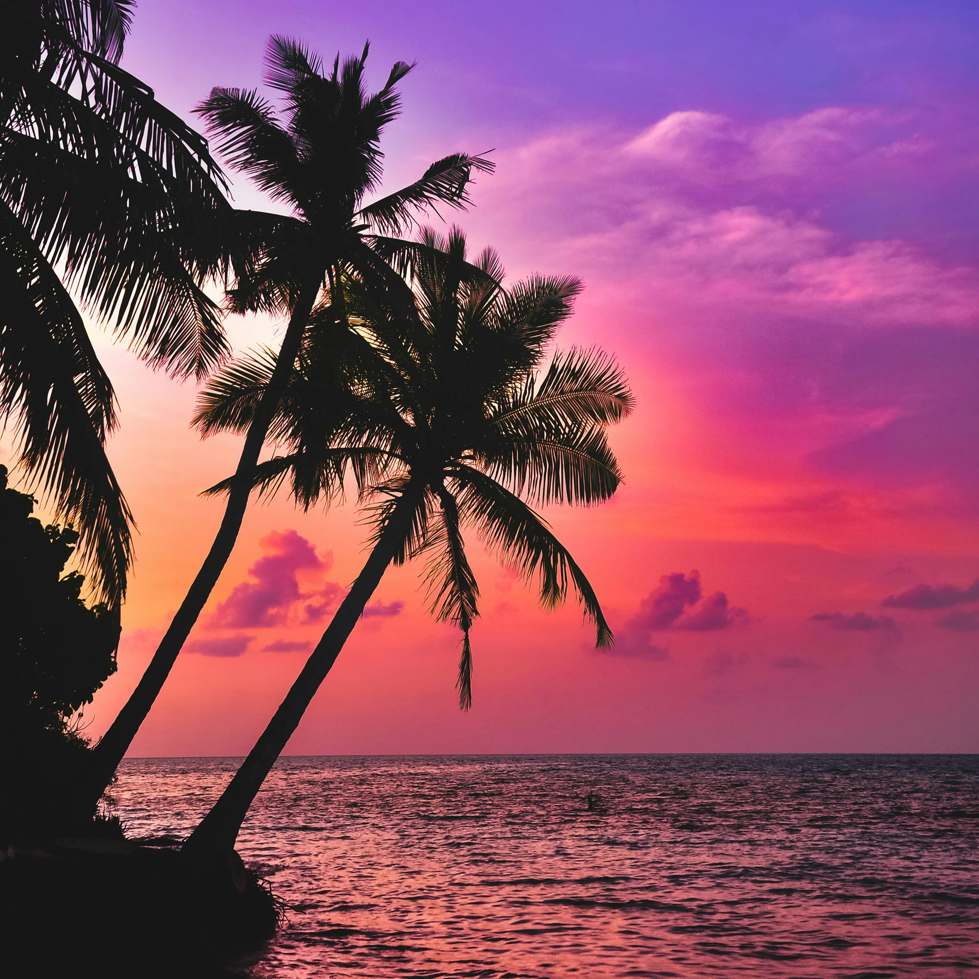 Hawaii for Go - Image 3