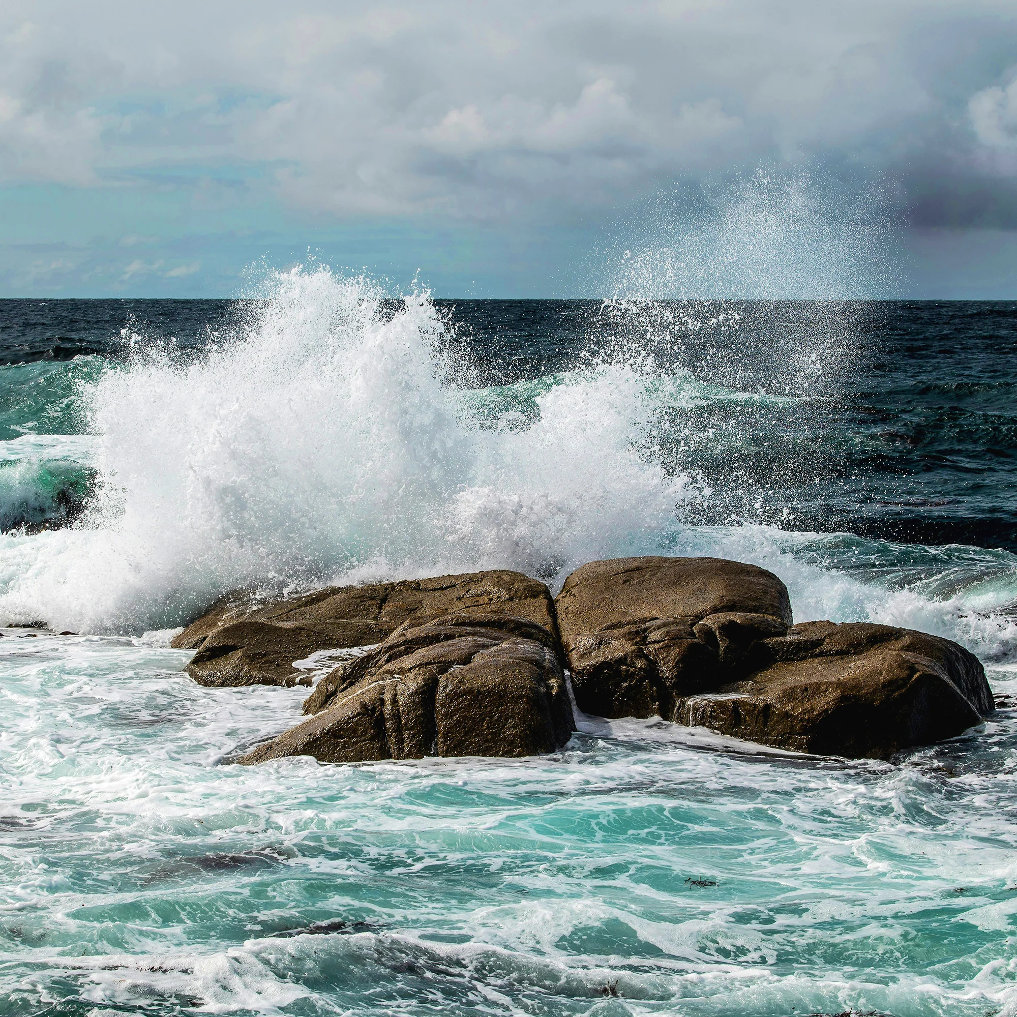 Pacific Surf - Image 3