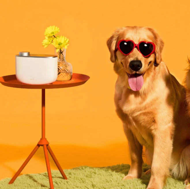 Pet Bundle - Image 6