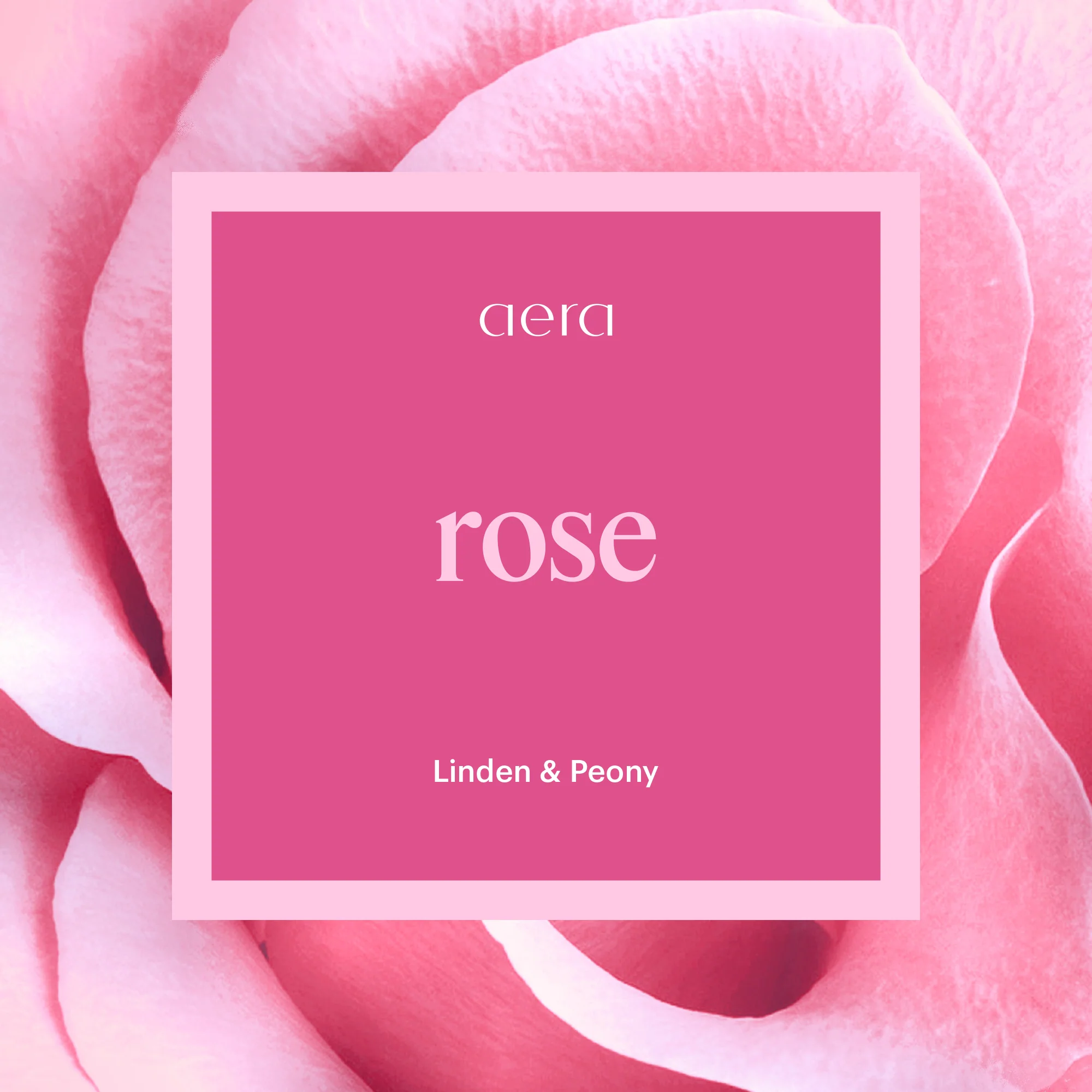 Rose Mini - Image 2