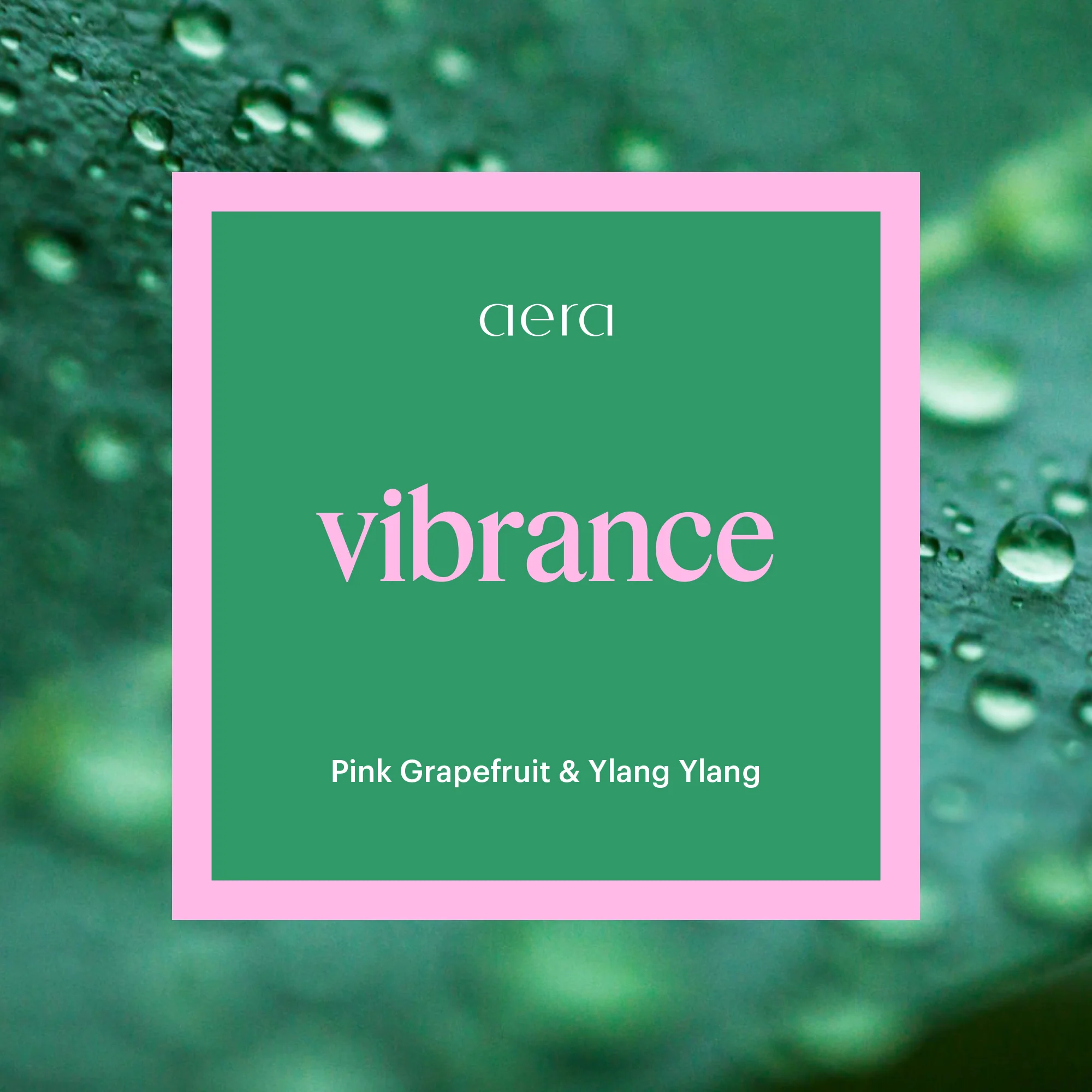 Vibrance Mini - Image 2